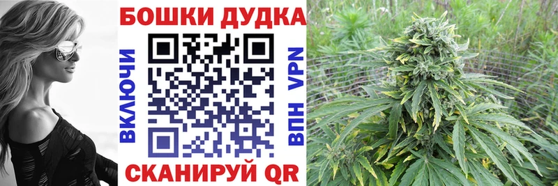 Купить где  Пустошка  Марихуана Bruce Banner 